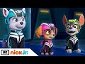 Paw patrol  jet to the rescue a jet to the rescue briefing  nick jr uk