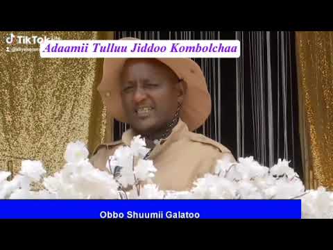 Godina Shawaa Bahaa Aanaa Adaamii Tulluu Jiddoo Kombolchaatti Eebba Milishaa