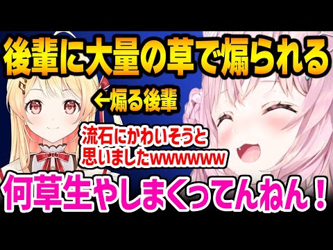 後輩に大量の草で煽られる博衣こより【ホロライブ / 切り抜き】
