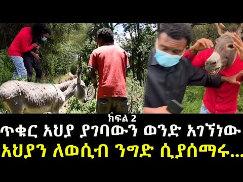 የአህያ ጨረታ ሲያደርጉ ደረስንባቸው ጥቁር አህያ አግብቶ የሚኖረውን ሰው አገኘነው ክፍል 2