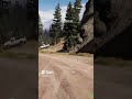 Wildlife is wacky in farcry 5