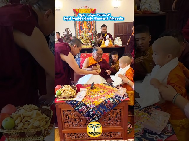 Ngài Sakya Trizin 41 - Ngài Kyabje Garje Khamtrul Rinpoche #phatphap #phatgiao #shorts #tibetan