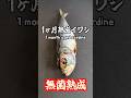 1ヶ月熟成鰯茶漬け#agedfish #sardines #papachel