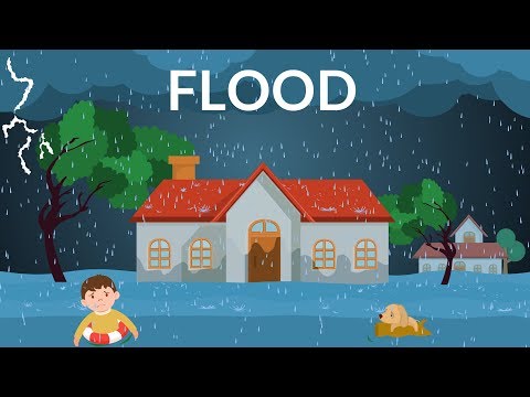 Video: City Against Floods