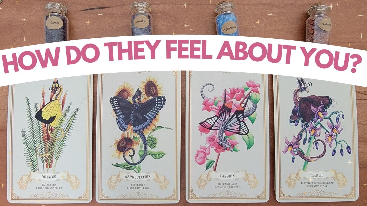 💕 How Do They Feel About You? 😍💌✨ | PICK A CARD Timeless Tarot Reading
