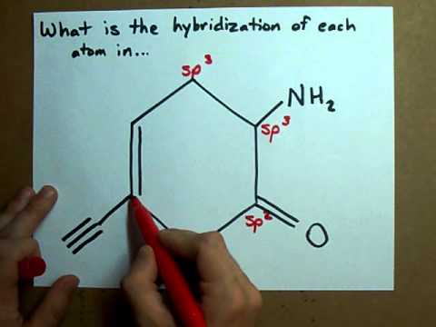 What is the hybridization of each atom in this molecule?