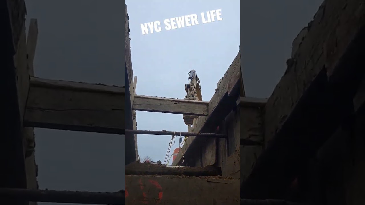 NYC Sewer Life 