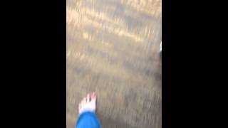 pergo floors installed by home depot