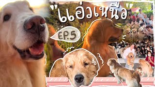 แอ่วเหนือ EP.5 l Japan and Friends