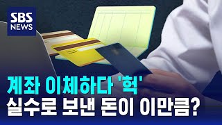 계좌 이체하다 '헉'…실수로 잘못 보낸 돈, 3년간 215억 / SBS