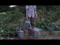 Middle of video