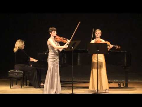 Bruch E minor Concerto for Violin & Viola mvmt 1