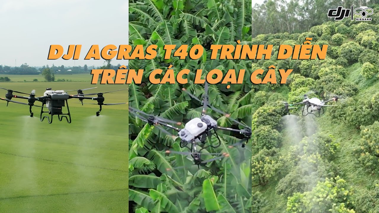 DJI AGRAS T40: TRÌNH DIỄN TRÊN CÁC LOẠI CÂY TUYỆT ĐỈNH - YouTube