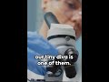 10 Unusual Animals Named After Famous People Part 3 The Lady Gaga Wasp 10 Unusual Animals Named After Famous People Part 3 The Lady Gaga Wasp