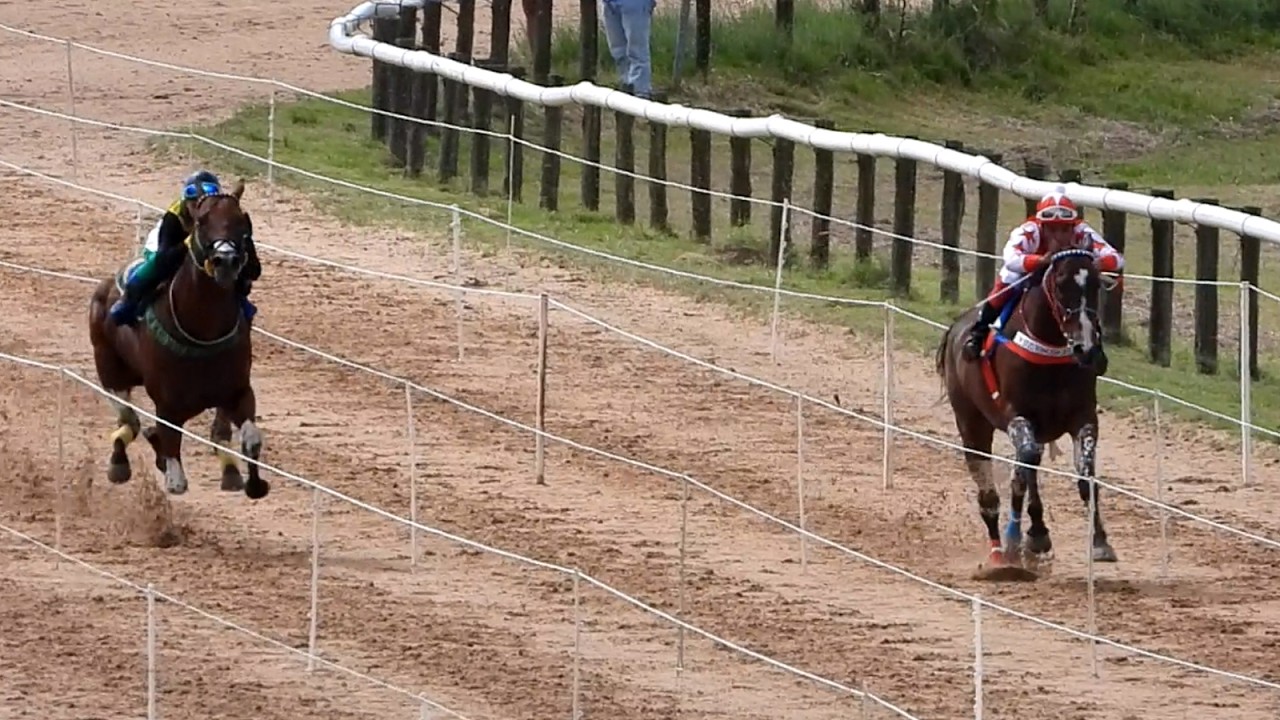 SAL HIMALAYA - 2do Terno Torneo Maxi Blanco - 500m - Hipódromo de Flores - 07/03/2026