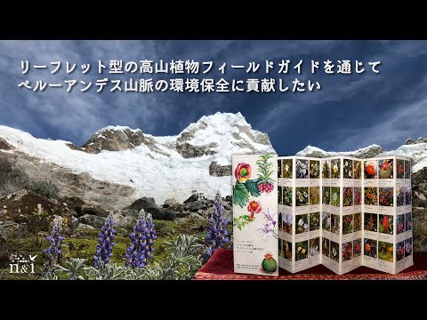 じゃばら折りリーフレット型 高山植物フィールドガイド：ブランカ山群とワイワッシュ山群に咲く花々 ペルー・アンデス山脈