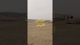 اطول وأجمل شاطئ في الجنوب المغربي .الشاطئ الأبيض بگلميم #الصحراء_المغربية #البحر