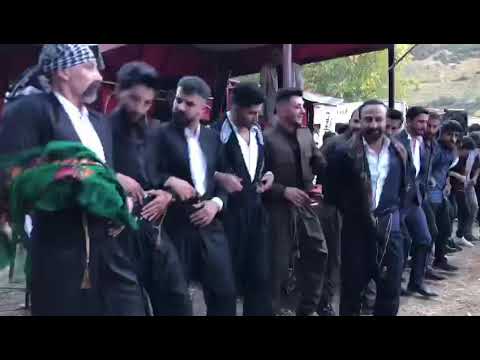 Şemdinli Havraman Halayı Cevdet şemzini Feyyaz Demir 