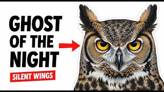 Why Owls Are the Silent Assassins of the Night | WHY WINGS
