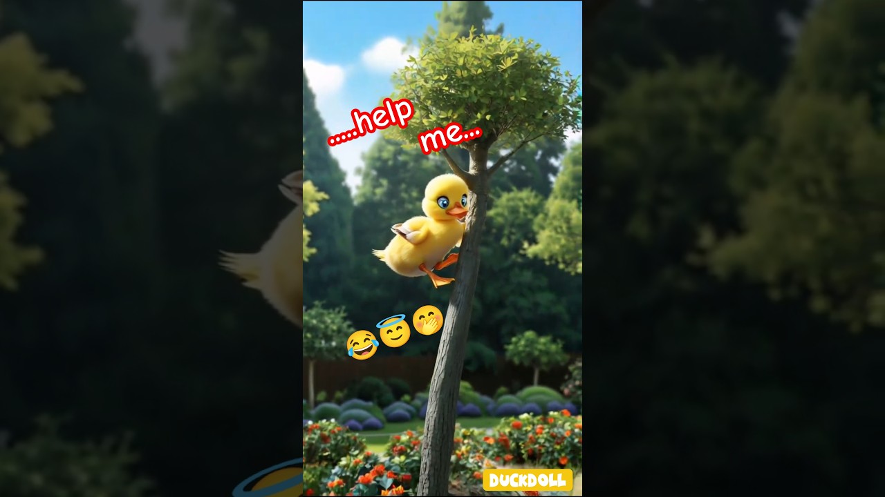 duck climbs tree 