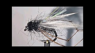 chat & flytying