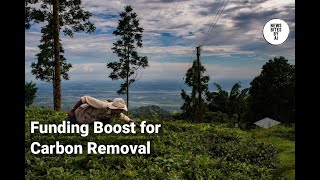 Alt Carbon Scores $12M Seed to Boost Indian Carbon Removal Efforts