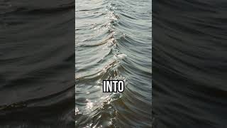 Nature draws lines #science #oceanfacts #learn