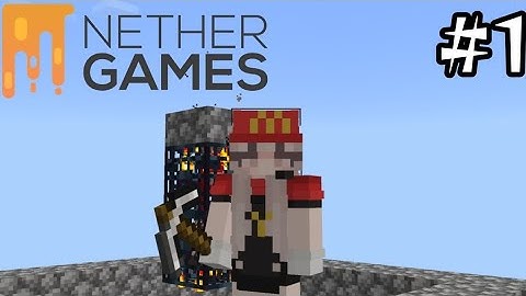 A new island! | NetherGames skyblock #1