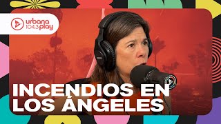 "Hay dos barrios que desaparecieron": testimonio de un argentino sobre los incendios en Los Ángeles