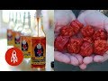 Spice up Your Life With The Carolina Reaper And Other Hot Stories