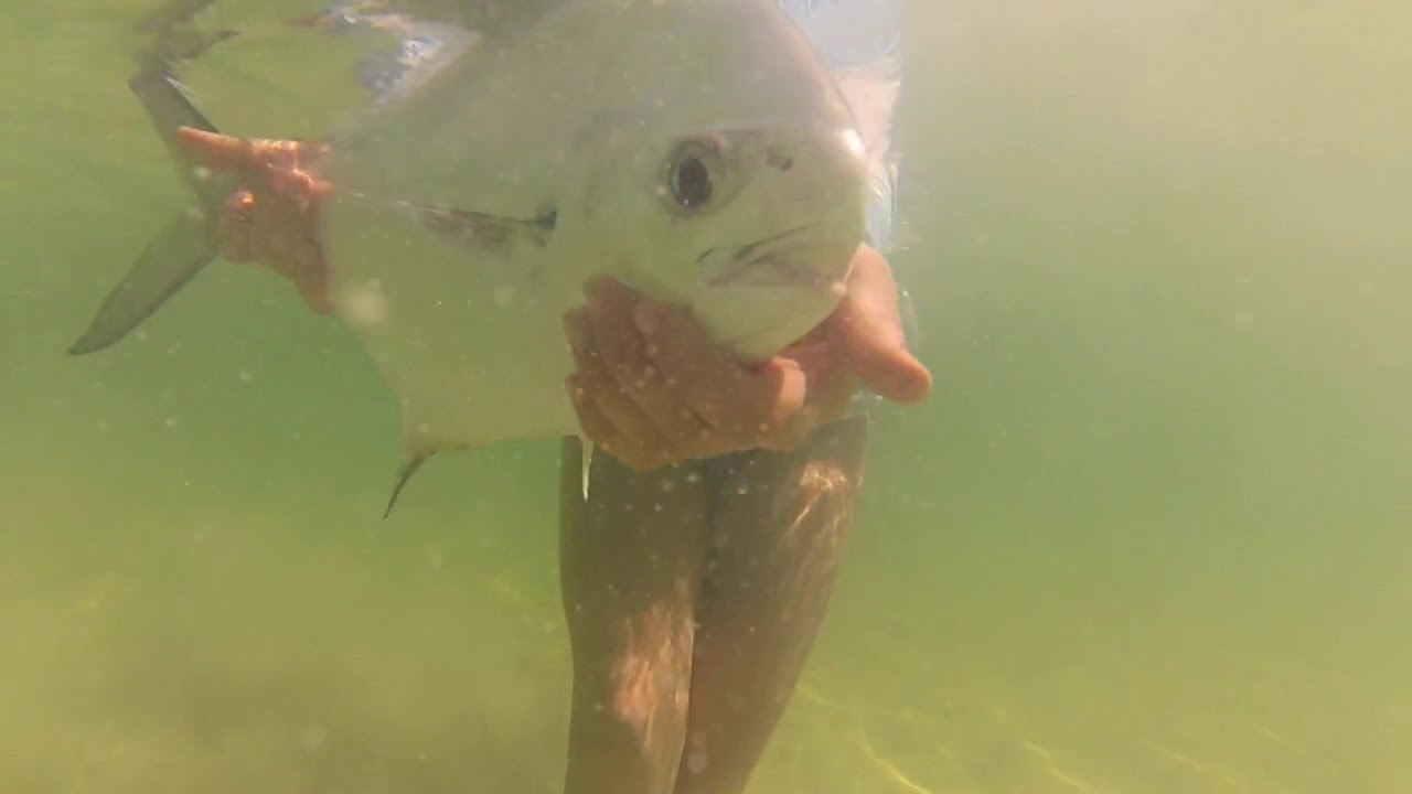 Belize Permit on Fly with Capt. Lacey & Tres Pescados Fly Shop