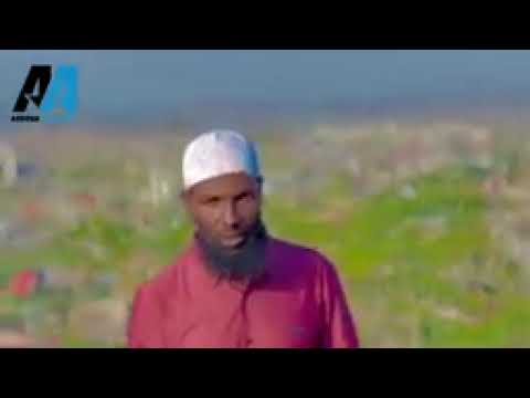 NASHIDA HARAYA DIRREE DHAWAA SHE ABDOSH ALIYII WAAHE DIRRE DHAWA KOTA IRRA BARA SUBECIREB SHER