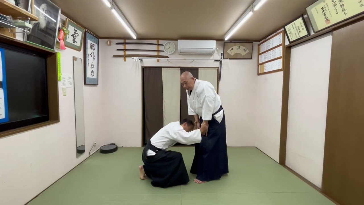 #合気道 #天地投げ
