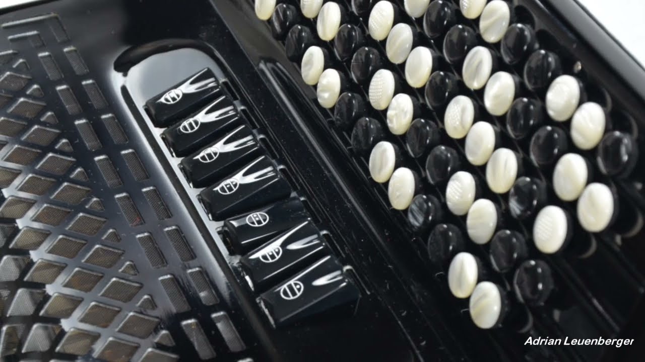 CELLULOID FREE BASS BUTTON accordions WITH CONVERTOR