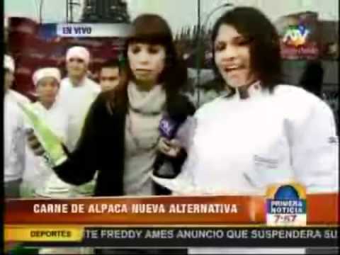 ExpoCrearte - Arbol Navideo en D'Gallia