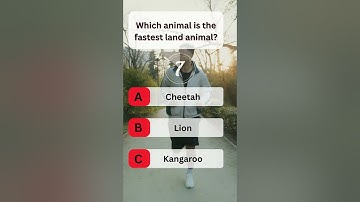 USA Quiz Challenge: Test Your Knowledge With This Question #usaquiz #funquiz #brainteaser #usafacts