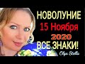 ПОРТАЛ ОТКРЫТ! НОВОЛУНИЕ 15 НОЯБРЯ 2020/Новолуние в СКОРПИОНЕ 15 Ноября от OLGA STELLA