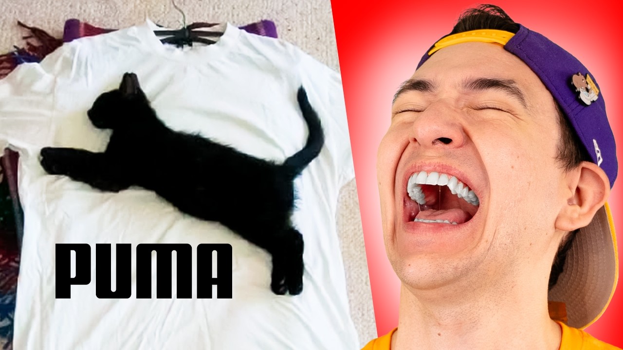 OS MAIS MAIS DO HUMOR QUEBRADO KKKKK