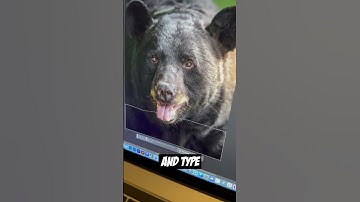 Generative Fill in Photoshop is Mindblowing!!