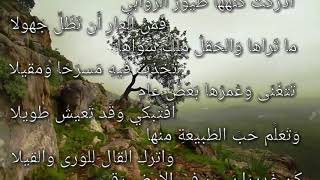 أيهذا الشاكي وما بك داء ـ  إيليا أبو ماضي