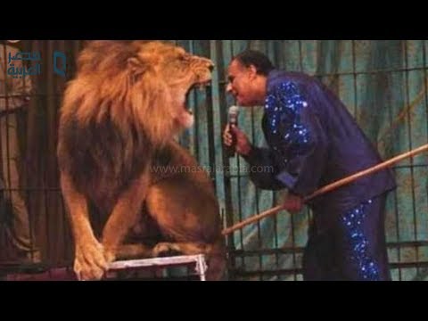 مصر العربية وداع ا محمد الحلو مدرب الأسود بالوطن العربي