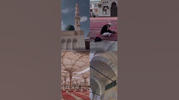 {يقولون يا ليتنا أطعنا الله وأطعنا الرسولا} أرح سمعك تلاوة هادئة تريح القلب والعقل💙بصوت جميل 🎧💙