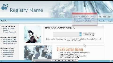 How to change Domain Name Server(DNS) at DRAMS - Host Department LLC