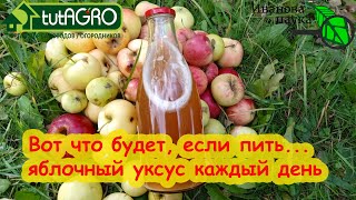 видео: ПЕЙТЕ УКСУС КАЖДЫЙ ДЕНЬ и вот что будет! Убираем завалы в почках и лишний вес, избавляемся от хворей картинка: ПЕЙТЕ УКСУС КАЖДЫЙ ДЕНЬ и вот что будет! Убираем завалы в почках и лишний вес, избавляемся от хворей
