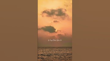 أجمل حالات واتساب قرآن كريم بصوت ناصر القطامي تلاوة مؤثرة #قناة_أبي_أنس_الرسمية
