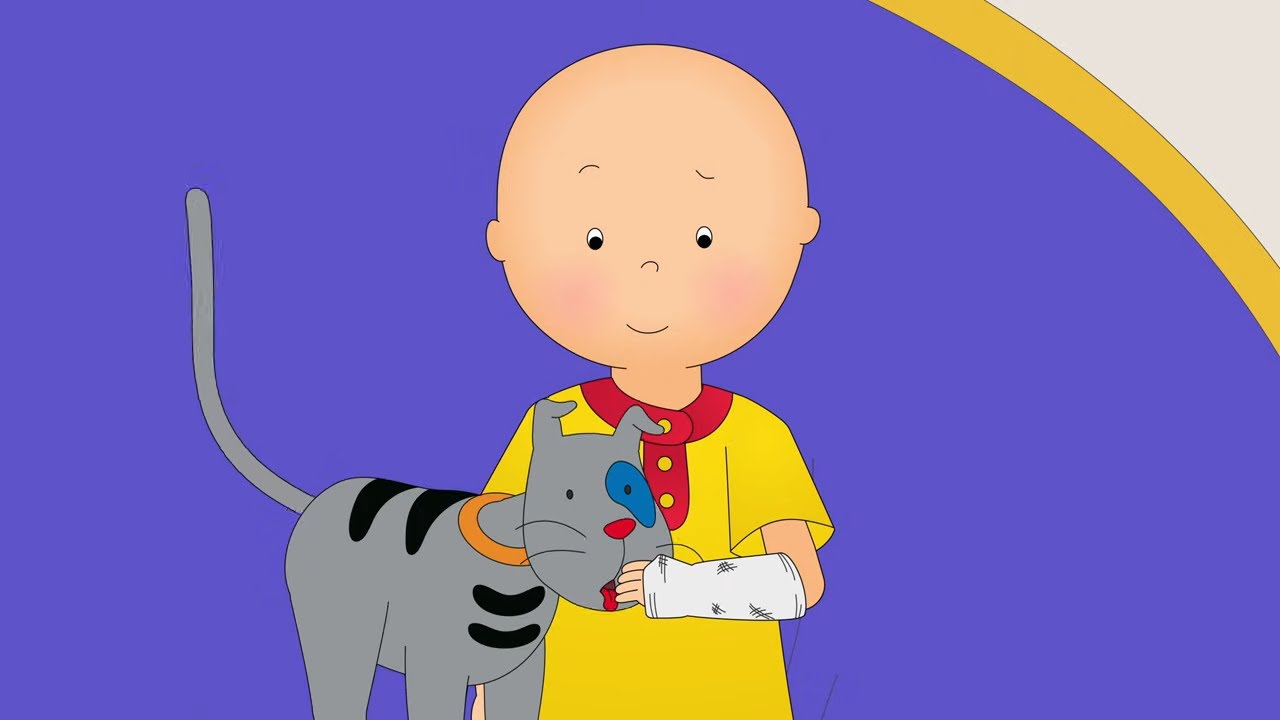 Caillou breaks a bone! | Caillou - WildBrain | Learning for Children