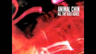 Animal Chin - The Scene