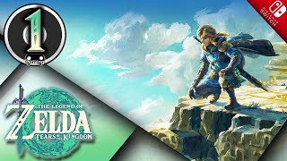 #01 | Zelda Tears of the kingdom - No Commentary【LIVE】