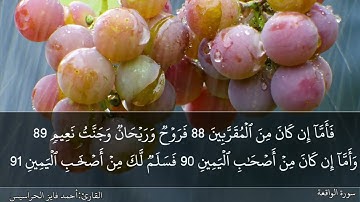 الصفحة 537 سورتيّ الواقعة والحديد بصوت القارئ المهندس أحمد فايز الحراسيس