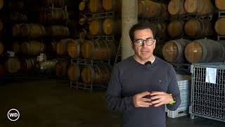 Chile Coquimbo - Vina Tabali - Collaborative Wineamerks Episode 40 - WineDOs
